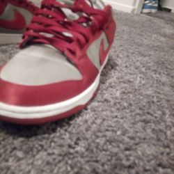 Nike Dunks Size-11- Description 