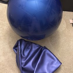 2 Large Exercise Balls : $12 For Both!