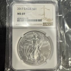 2017 Silver Eagle 