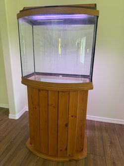 36 Gallon Fish Tank + everything