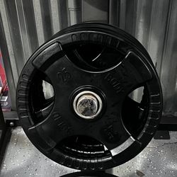 New!! Body Solid Rubber Grip Plates