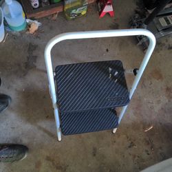 3 Foot Step Ladder 