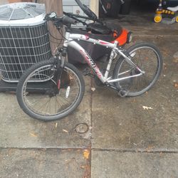 Schwinn Bike Needs Seat