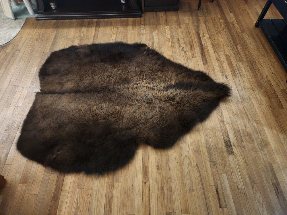 Bison Robe