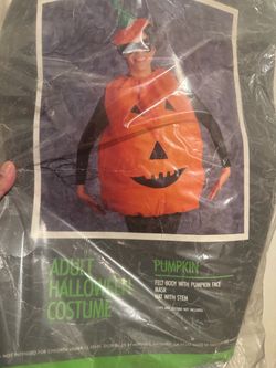 Pumpkin adult costume