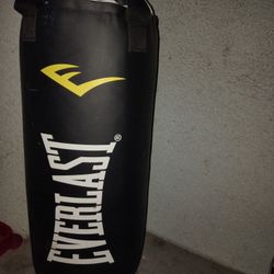 Everlast Punching Bag New 