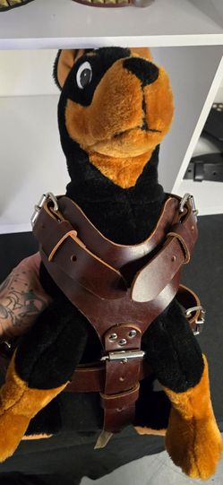 Brown Dog Harness
