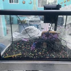10 Gallon Aquarium Tank