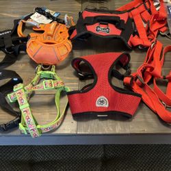 Dog Supplies. First $25 Takes Everything!