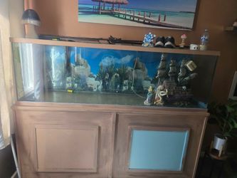 Aquarium tank 140 gallons