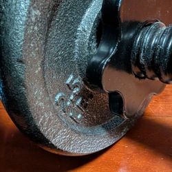 Free weights with interchangeable plates 