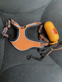 Xs  Dog Harness