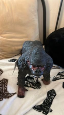 Gorilla