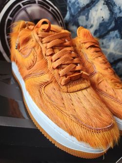 Air force 1 campfire