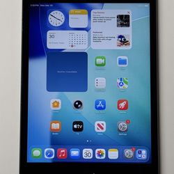 Apple iPad Mini 5 5th Generation  7.9” 64GB Wi-Fi + UNLOCKED Cellular Latest IOS 26 Tablet