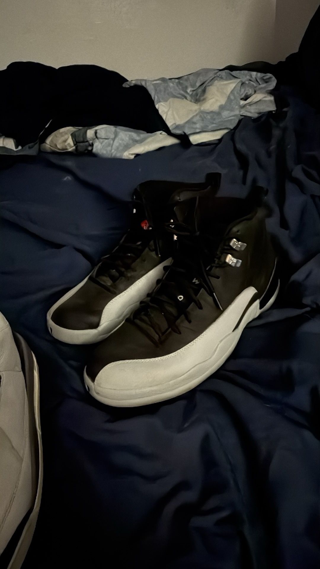 Retro Jordan 12 