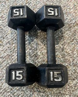 15 Lb Dumbbells Pair