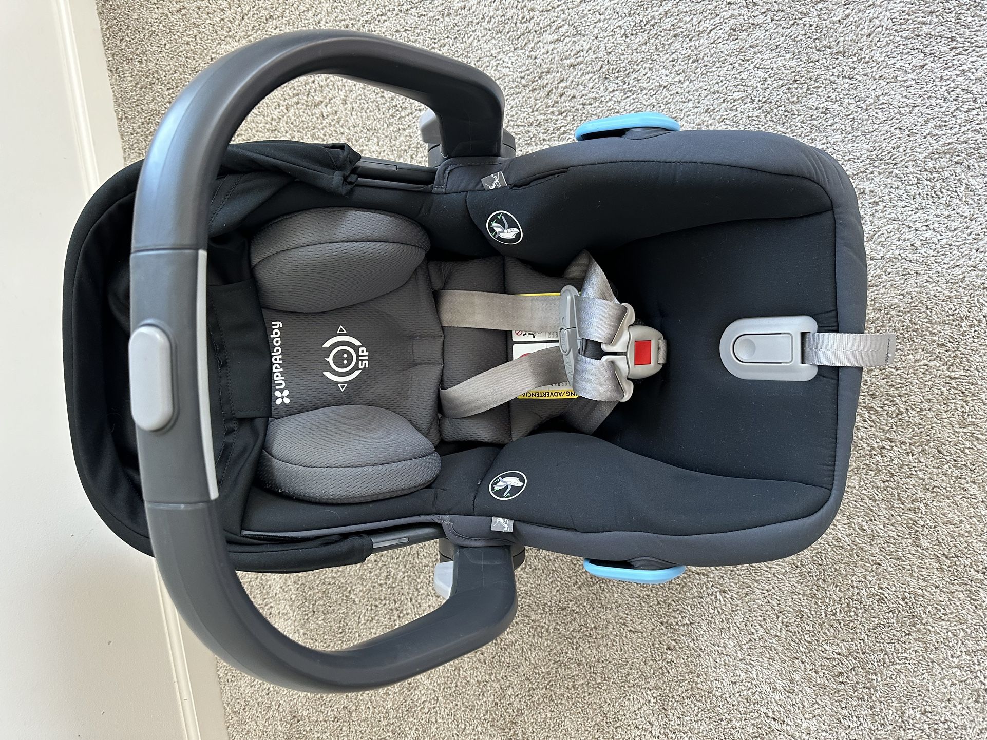 Uppababy Mesa Car seat & 2 Bases