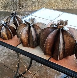 New Metal "Rusty Barrel Cactus"
5 Sizes 5 Prices 

Extra Large 
Approx. 1ft.2" x 1ft. 5"     $70.00

Large 
Approx. 11" x 1ft. 2"         $55.00

Medi