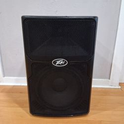 Peavy Speaker /Monitor 