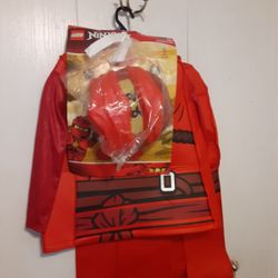 Ninjago Costume