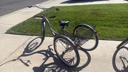 Adult Tricycle