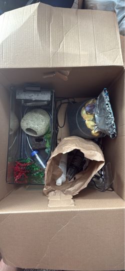 Small fish tank bundle