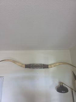 Texas long horns