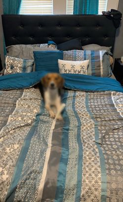 Queen Bed Frame