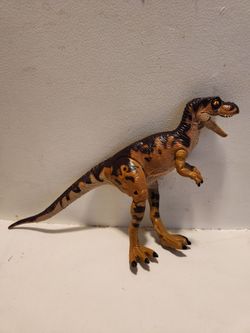 Toy