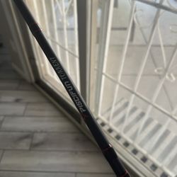 Piscifun torrent spinning rod