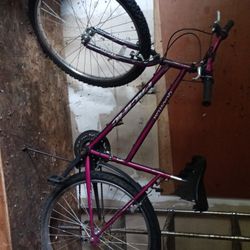 Quantum Pacific Bicycle