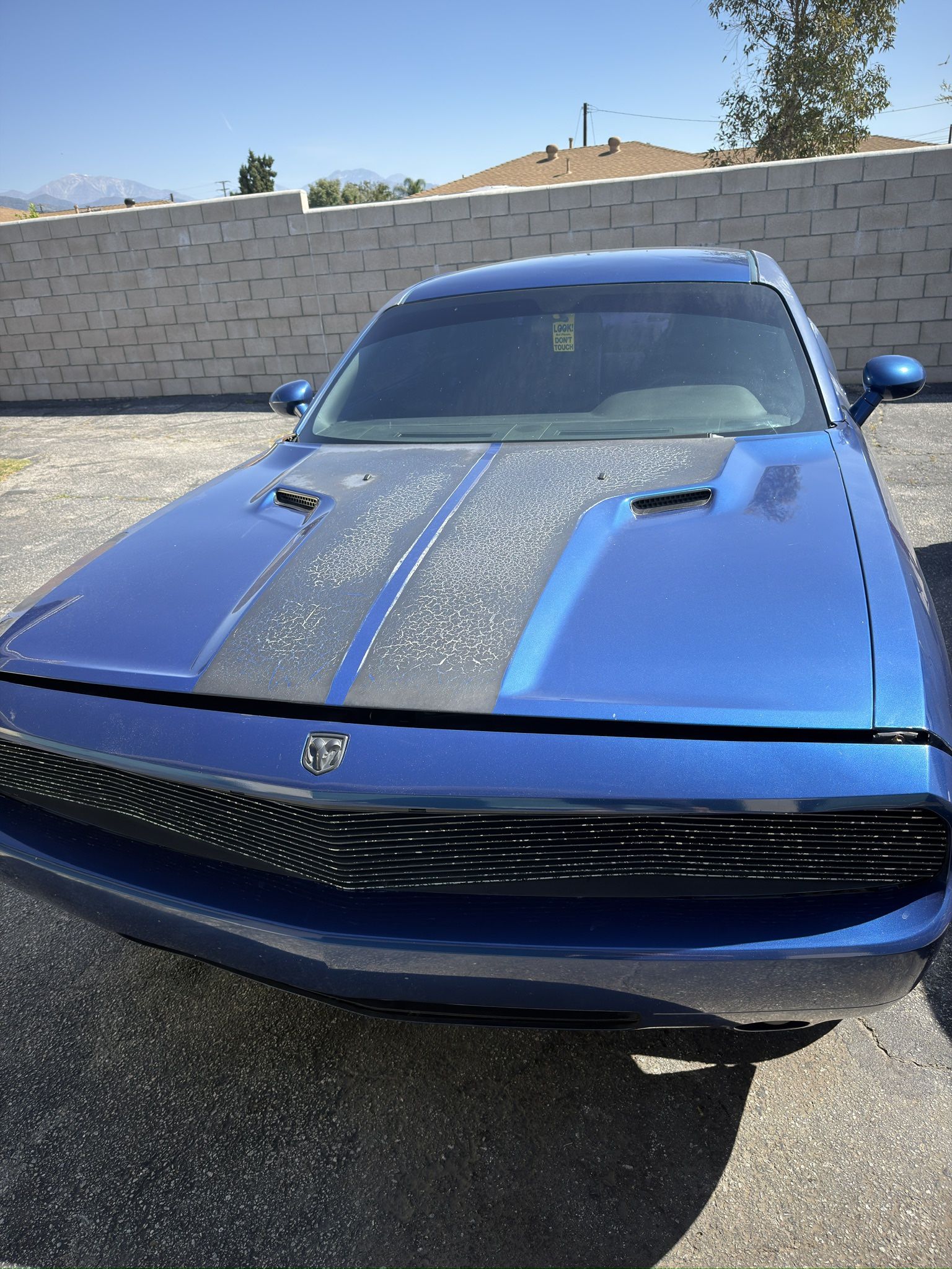 2010 Dodge Challenger