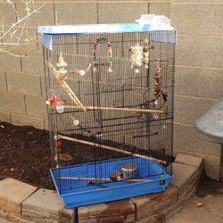 Bird Cage 