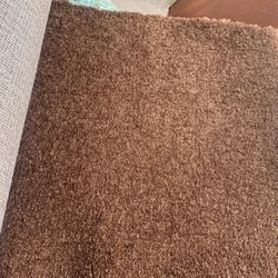 Residential Carpet