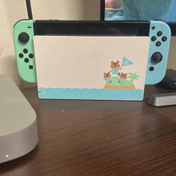 Nintendo Switch animal crossing Limited Edition