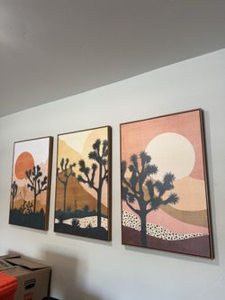 3 peace desert framed canvas