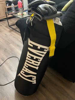 Everlast 70lb bag and hanger