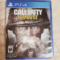 Call Of Duty WWII PS4 Game 