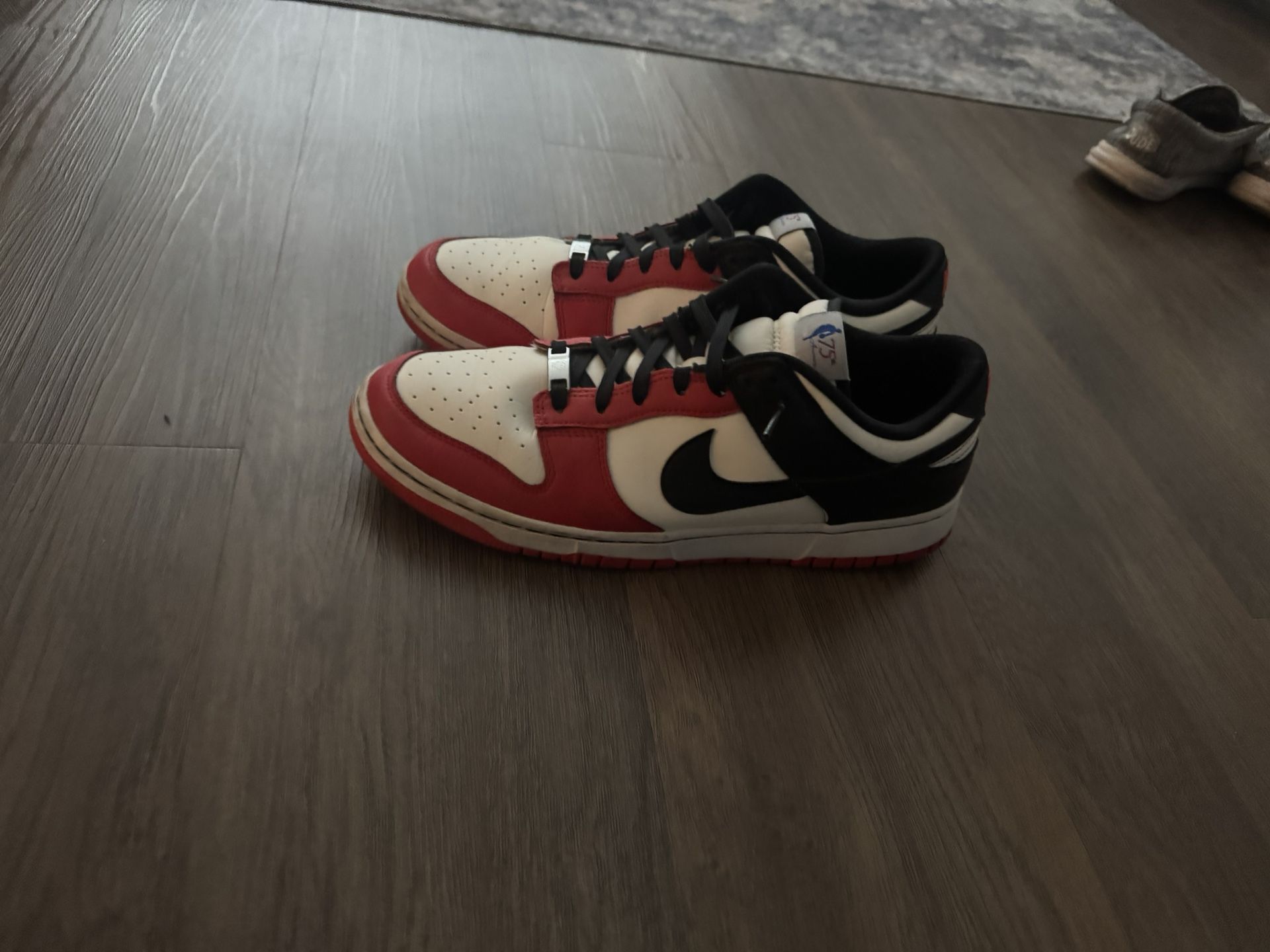 Nike Dunks Bulls 75th Anniversary