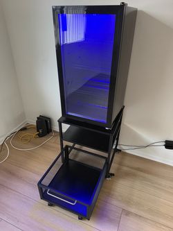 Beverage Fridge with Rolling Storage Stand