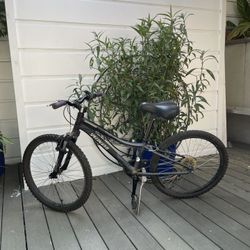 24" Wheel SPECIALIZED Hotrock Hardtail Mountain Bike ✨ Aluminum Frame ✨