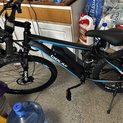 Electric Bike For Sale