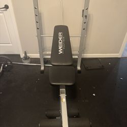 Weider Platinum Workout Bench
