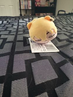 Chifuyu Cat