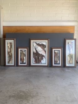 Set of 5 Framed Southwest Petroglyph Art Prints