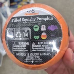 Squishy filled pumpkin