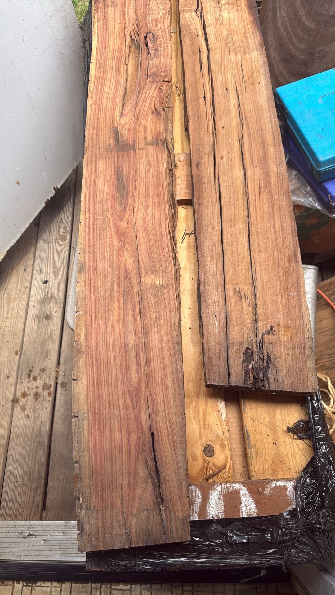 Brazilian Tulip Good For Live Edge Or Raisin Poor