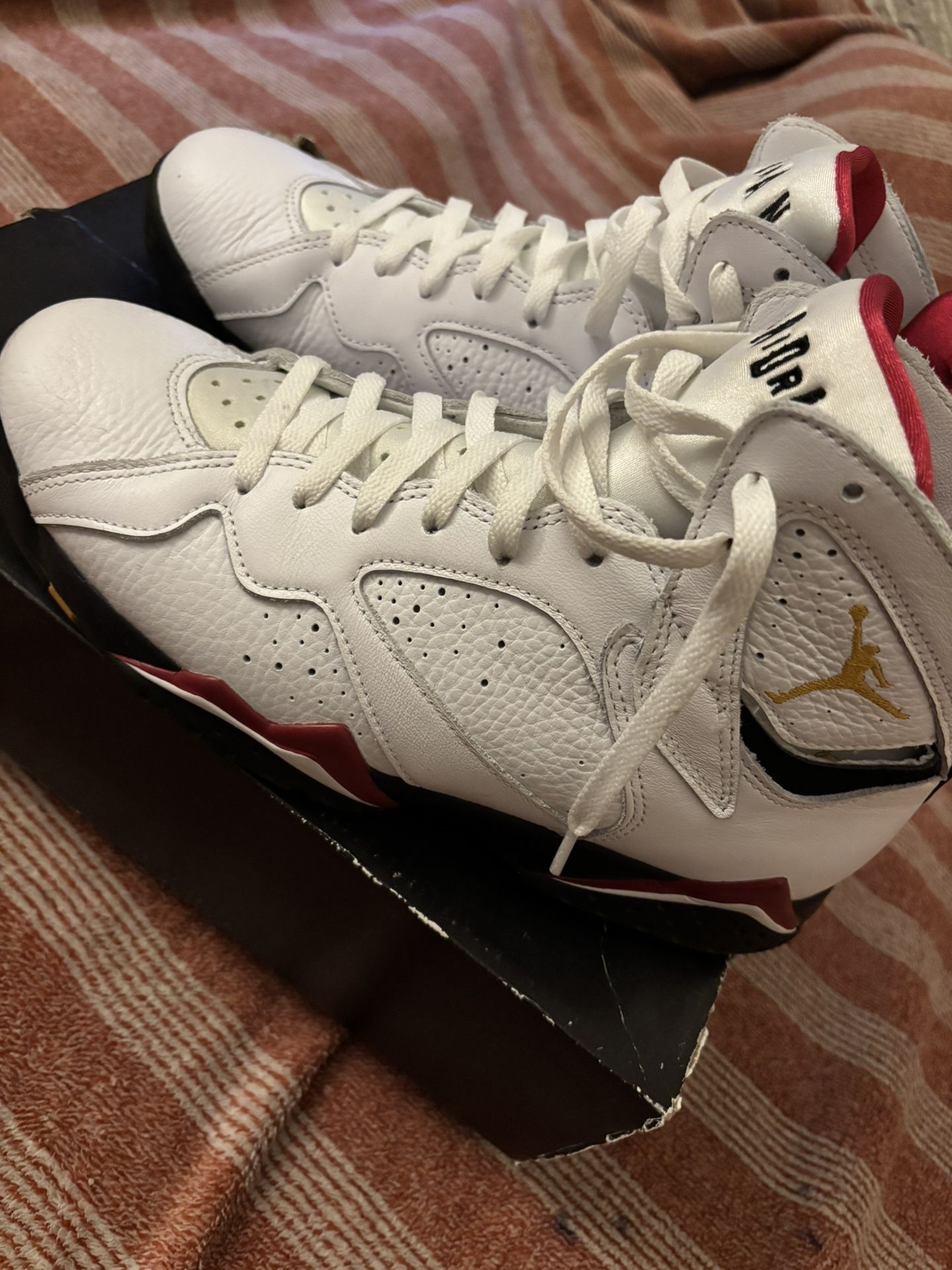 Jordan Retro7