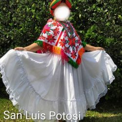 Folklorico San Luis Potosi Dress